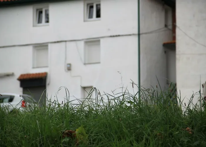 Rural Zuri Apartment *