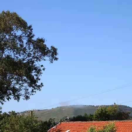 Apartment Rural Zuri *