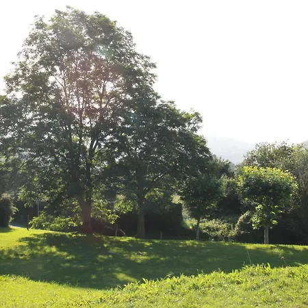 Rural Zuri