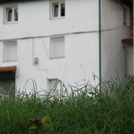Rural Zuri Apartment *