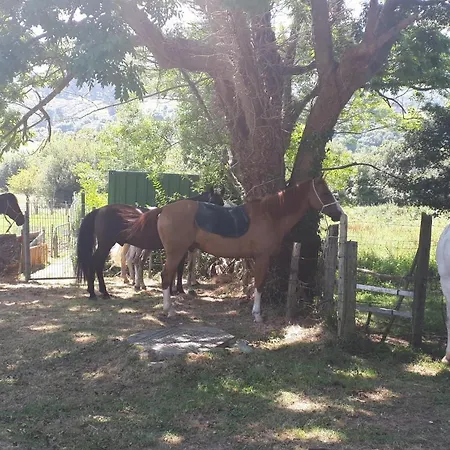 Appartement Rural Zuri *